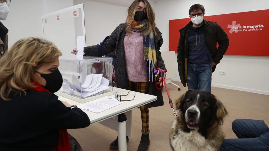 Primarias PSPV |  Bielsa arrasa mientras Falomir y Soler se imponen en Castelló y Alicante