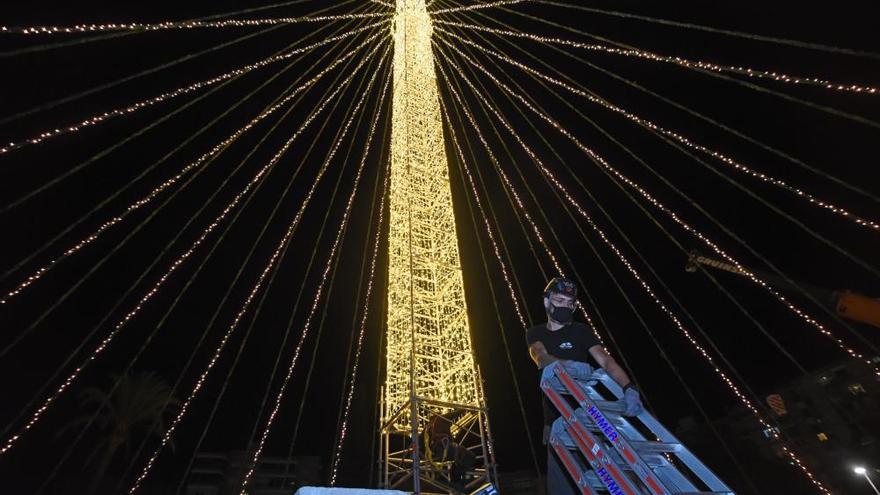 ENCUESTA | ¿Estás a favor de que vuelvan a montar el gran árbol de Navidad en la Plaza Circular de Murcia?
