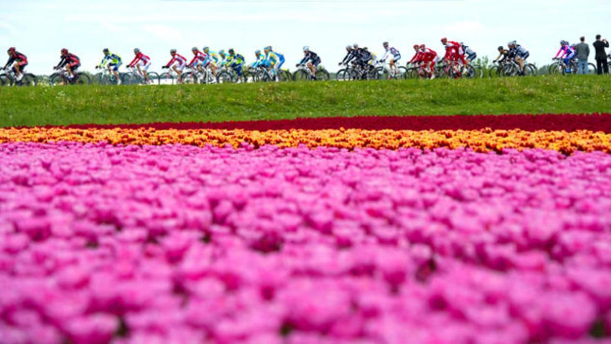 El pilot de ciclistes al seu pas per Haarlemmermeer en direcció a Middelburg (Holanda) durant la tercera etapa del Giro d¿Itàlia.