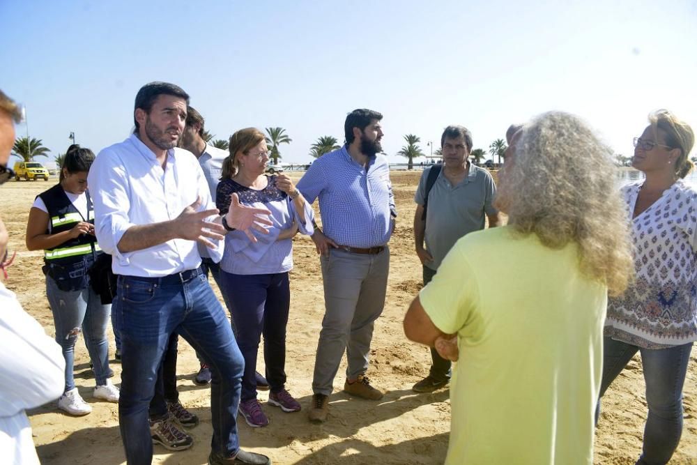 Mar Menor, una laguna sin vida