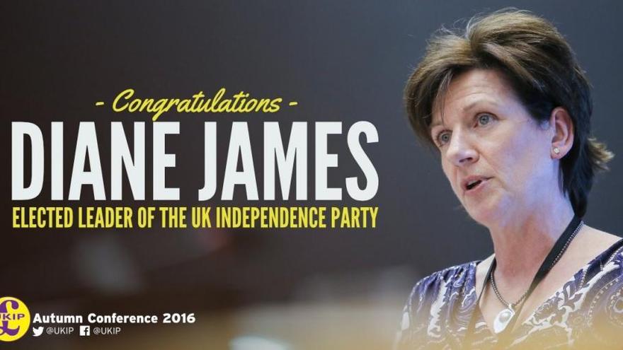 Diane James sustituye a Nigel Farage al frente del UKIP