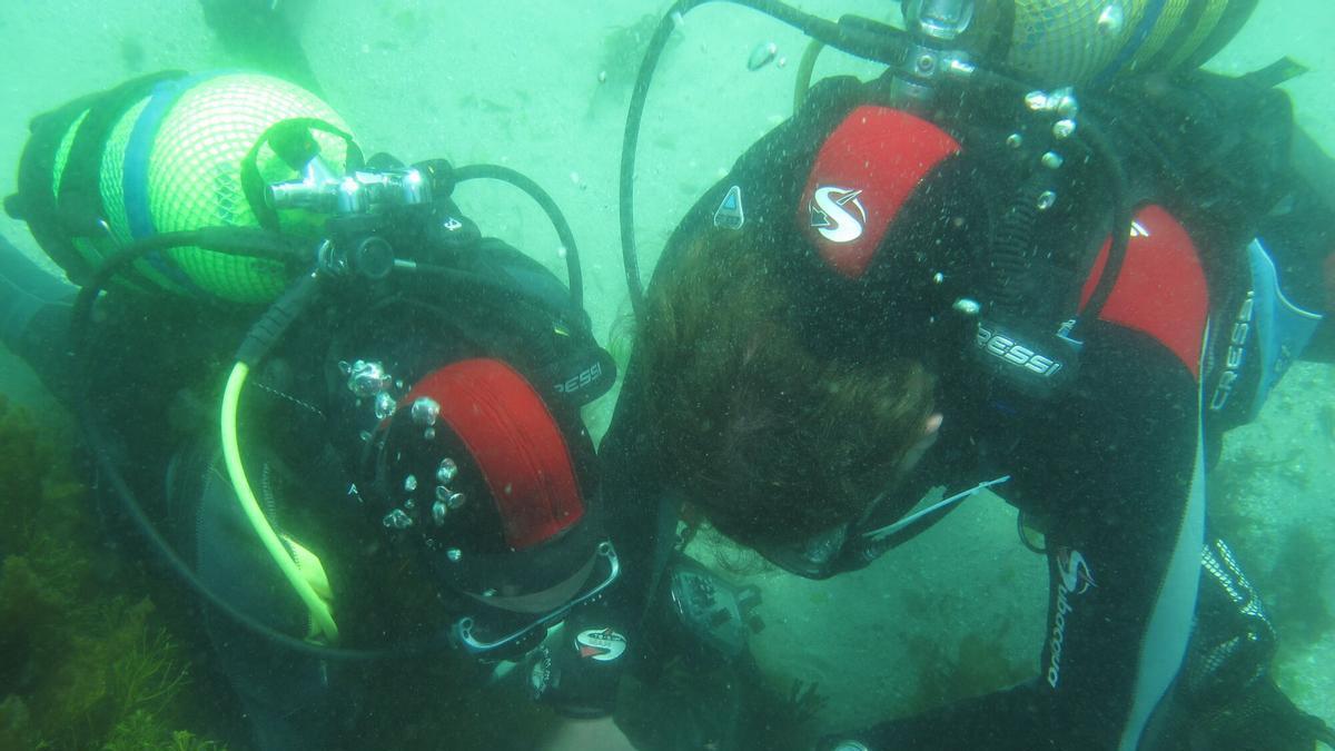 Dos miembros del Centro de Estudios Avanzados de Blanes, perteneciente al CSIC, analizan los ecosistemas de las islas Cíes.