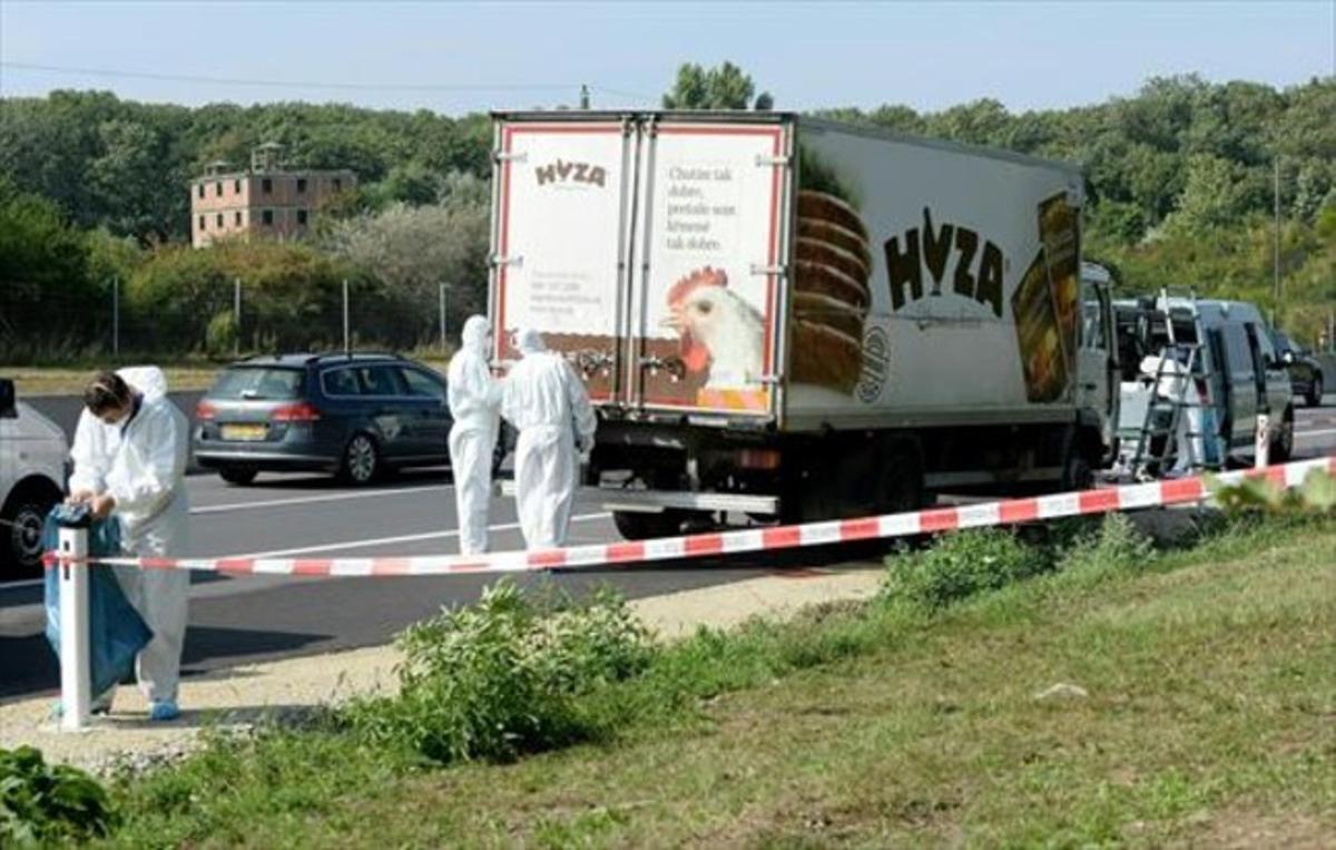 Forenses inspeccionen el camió on van ser trobats els cadàvers.