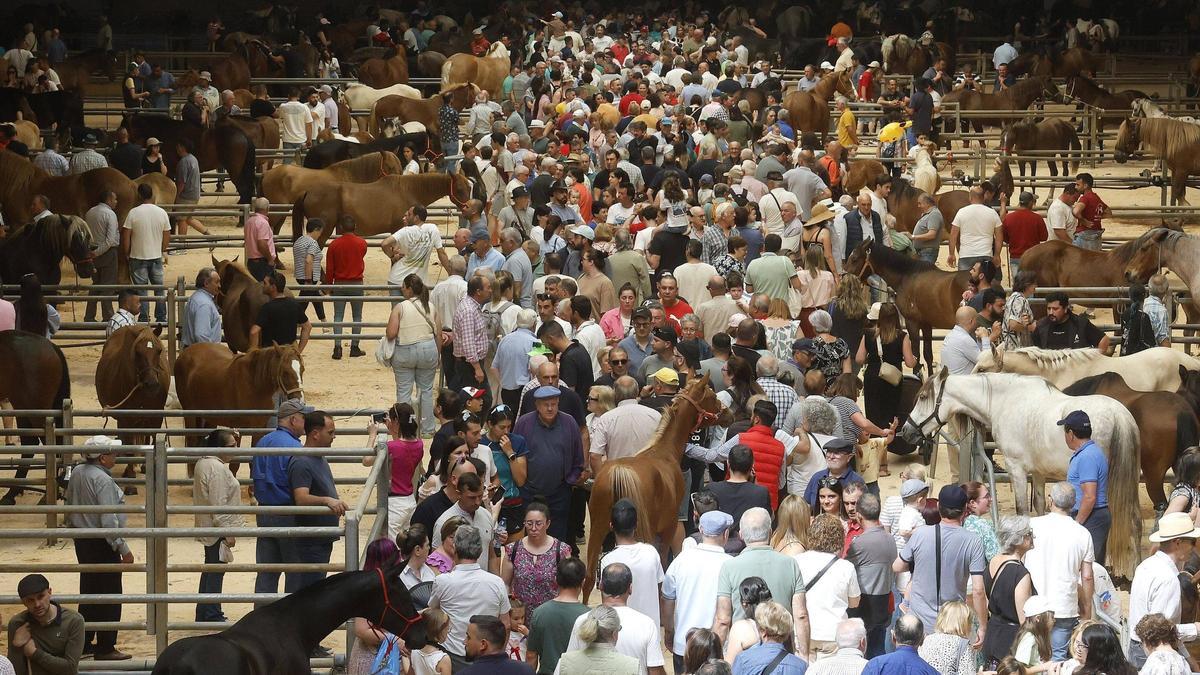 As Festas da Ascensión e a súa feira cabalar son unha das citas máis relevantes do ano en Amio