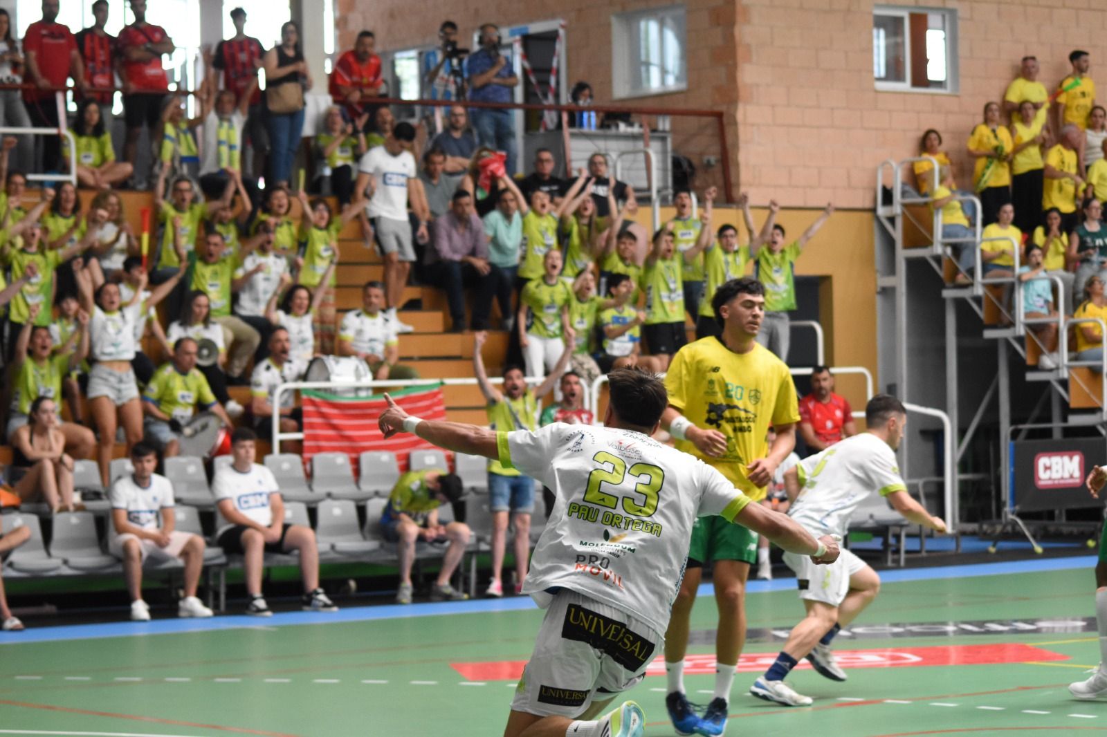 Balonmano Zamora