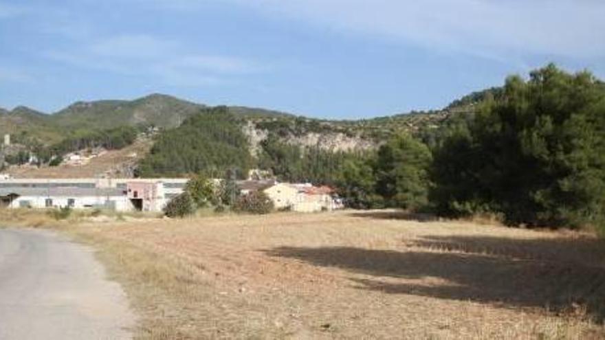 Terrenos del sector urbanizable de El Clero en Moixent, uno de los desarrollos paralizados.