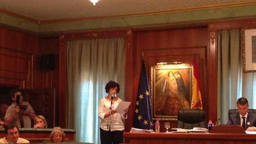 Un momento del pleno celebrado ayer en Marbella.