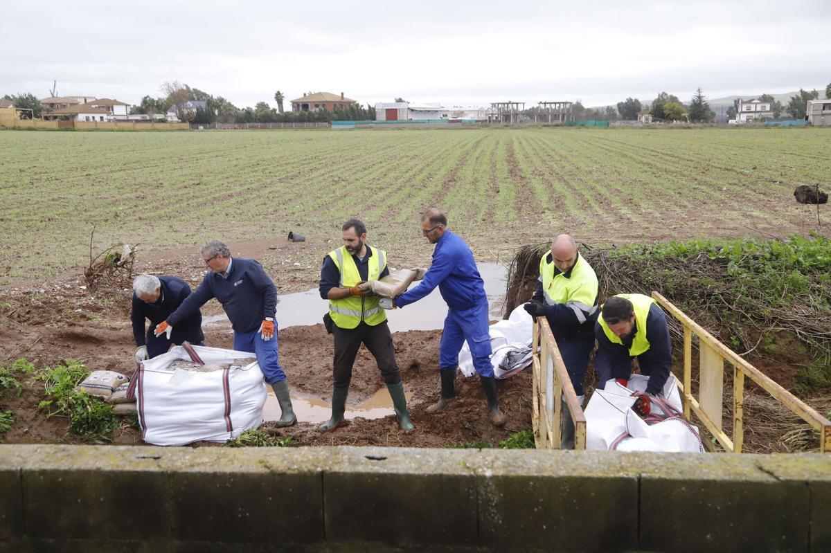 Obras de emergencia en el arroyo.