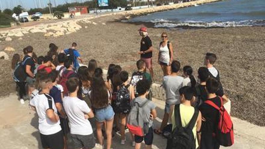 Los profesores han explicado la importancia de la posidonia oceánica, el pulmón del mar.