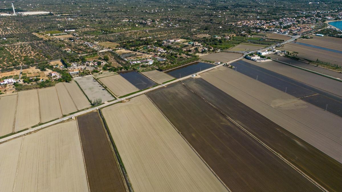 Arranca el riego del arroz en el delta del Ebro