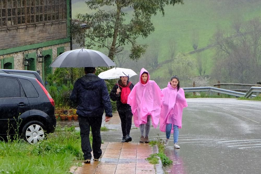 Romería de La Flor en Lena