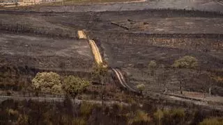 La Culebra No Se Calla organiza la jornada solidaria "La Sierra Renace"