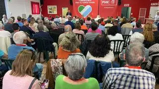 Una moción de censura tumba al secretario general del PSOE de Torremolinos