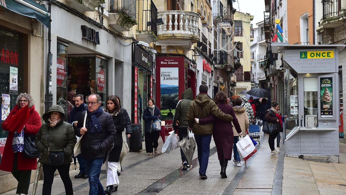 Plan Comercio Seguro en Plasencia: la policía detiene al autor de hurtos continuados en dos tiendas.