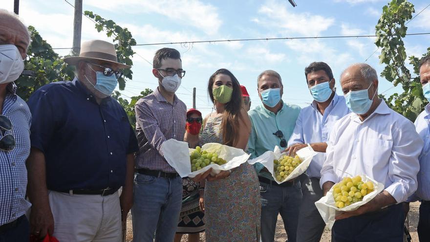 Mazón se suma a las reivindicaciones de la Uva de Mesa Embolsada del Vinalopó