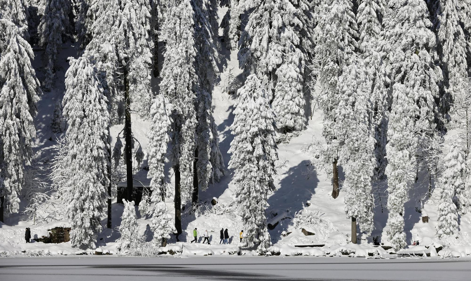 FOTOS | Grandes nevadas en Alemania