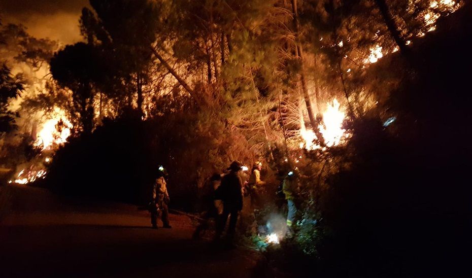 Un incendio en Sierra Bermeja afecta a Jubrique, Genalguacil y Estepona