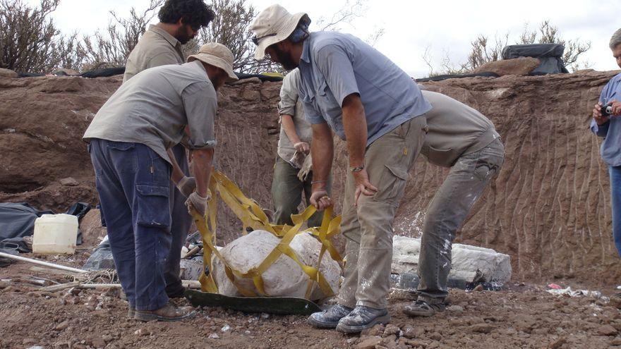 Excavación del sitio arqueológico donde se han hallado los restos del &#039;Meraxes gigas&#039;.