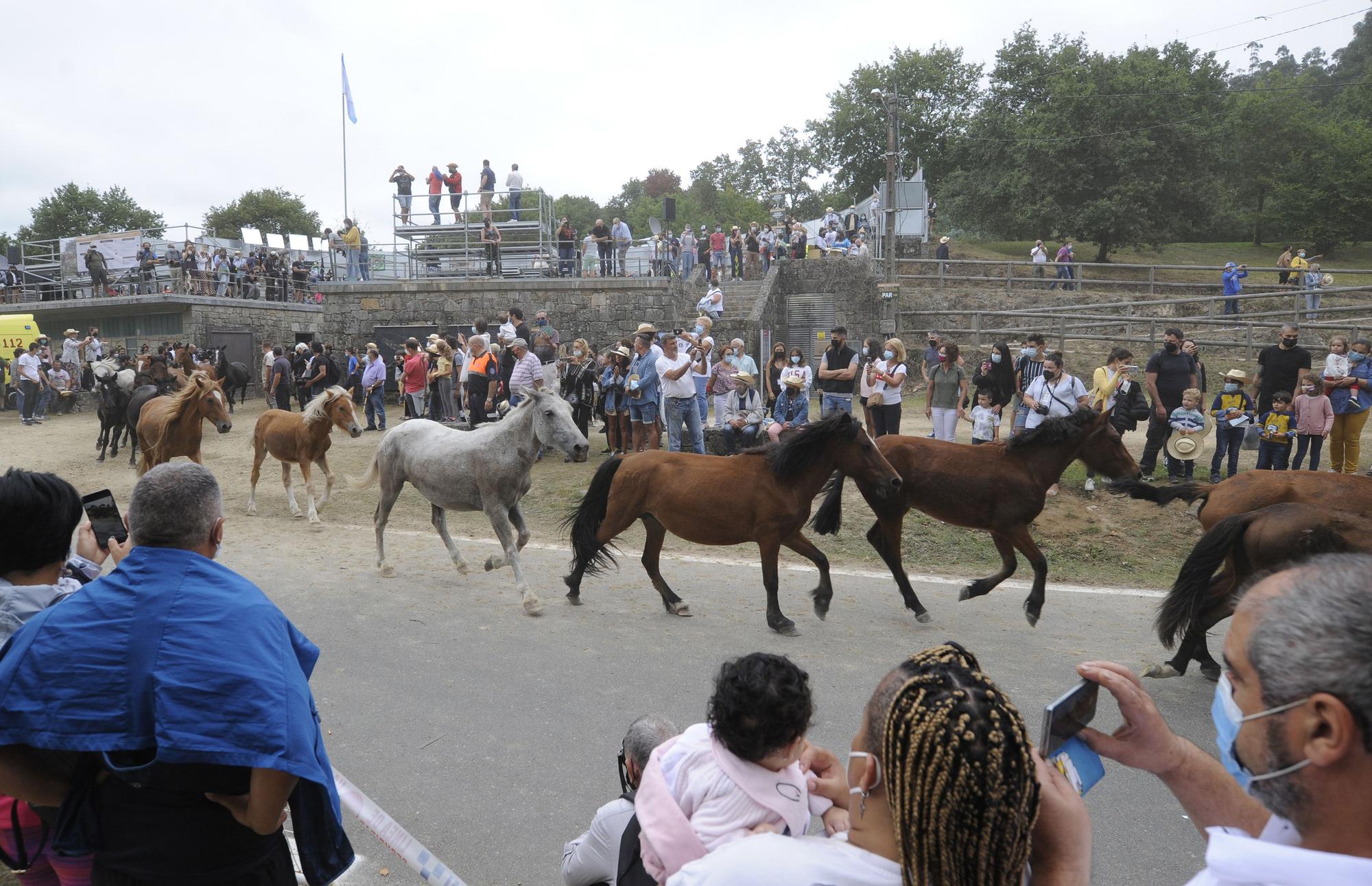 Rapa de alto voltaje en Sabucedo