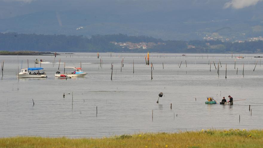 Vilagarcía, puerto de pesca, marisqueo y acuicultura