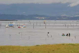 Vilagarcía, puerto de pesca, marisqueo y acuicultura