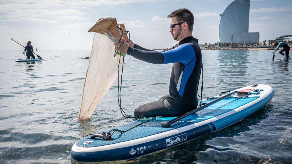 Surfing for Science: surfear por la ciencia