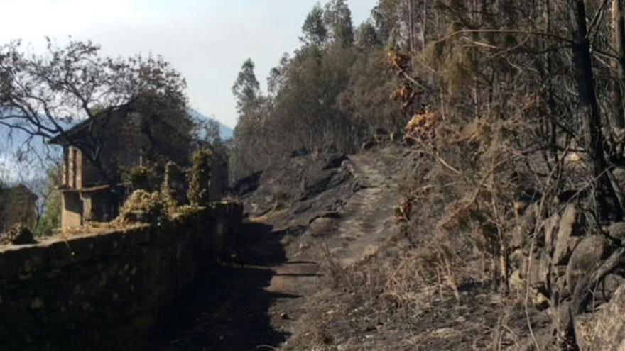 Incendios en Galicia | Así quedó Acevedo tras el incendio de Pontesampaio