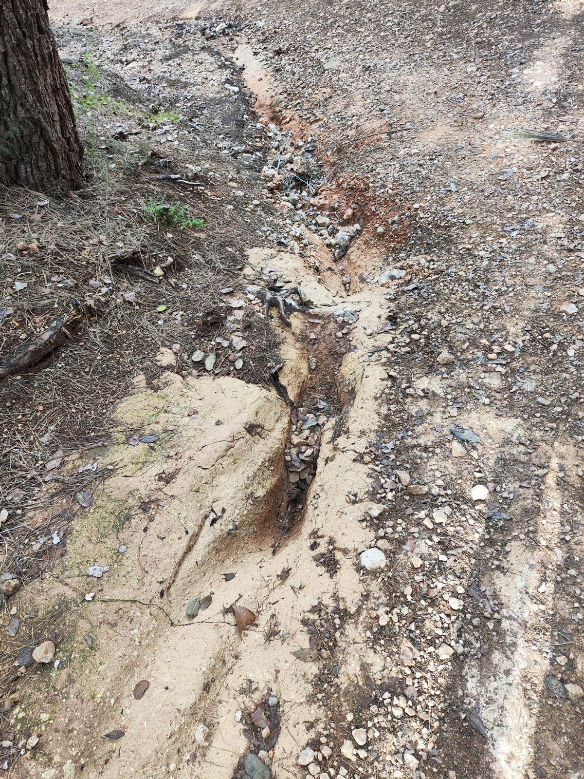 Un socavón provocado por el agua en una pista forestal de Alzira.