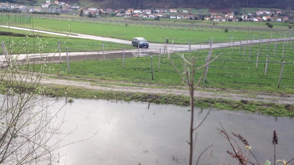 Los ríos Narcea y Nalón, muy crecidos en Pravia.