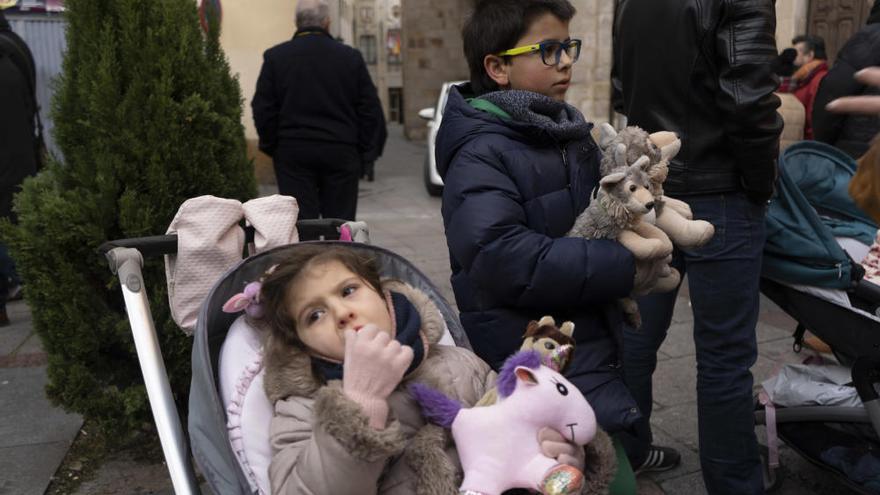 Zamora | Bendición de San Antón: Perros, hamster, jilgueros... y hurones