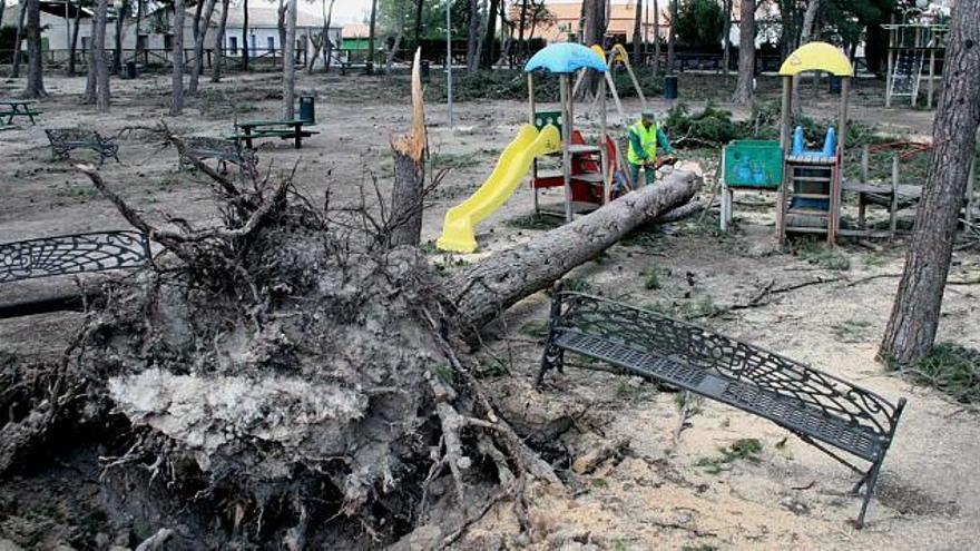 Los operarios del Ayuntamiento retiraban ayer los troncos caídos en la zona de juegos infantiles de Las Virtudes