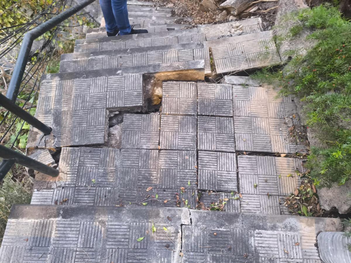La dana arranca un árbol en Santa Cruz de Tenerife y deja incomunicados a una veintena de vecinos