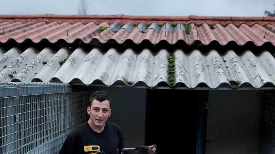 Fernando Vega, trabajador de la perrera municipal de Langreo, junto a varios animales.