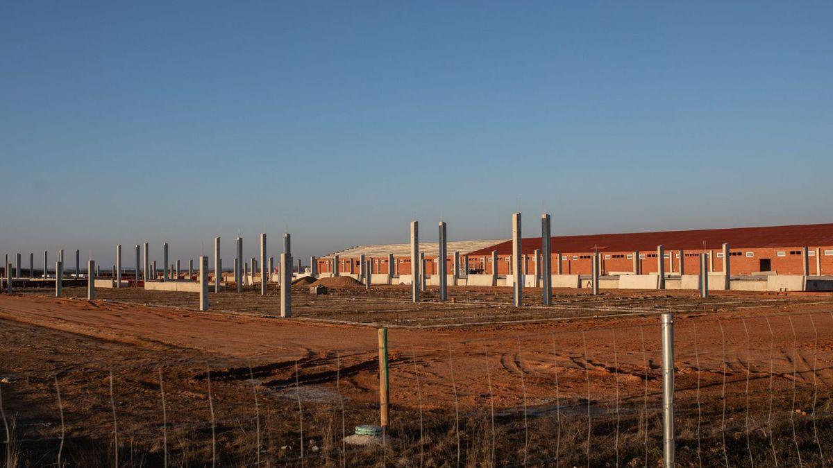 Una macrogranja en construcción, en el término de Santovenia.