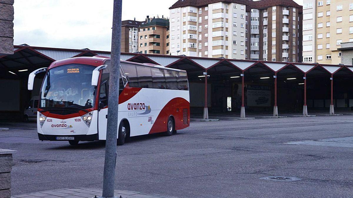 Un autobús Avanza sale de la estación de Zamora rumbo a Madrid.