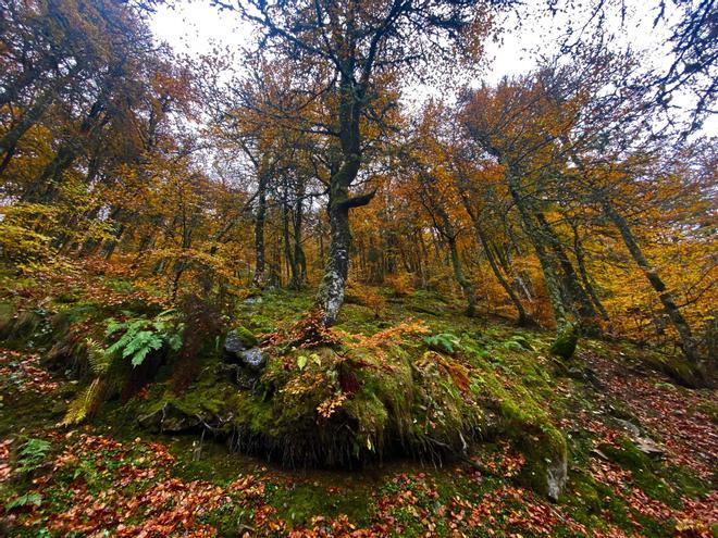 Asturias
