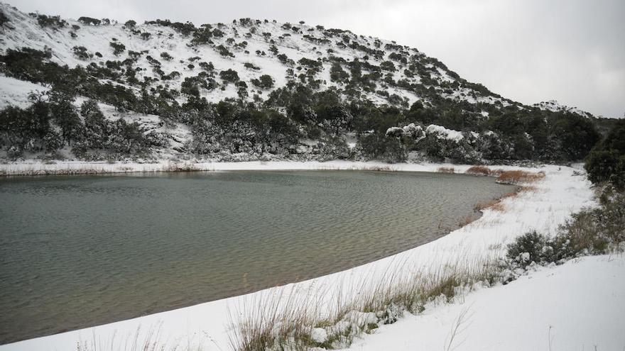 Langzeitprognose: So wird der Winter auf Mallorca