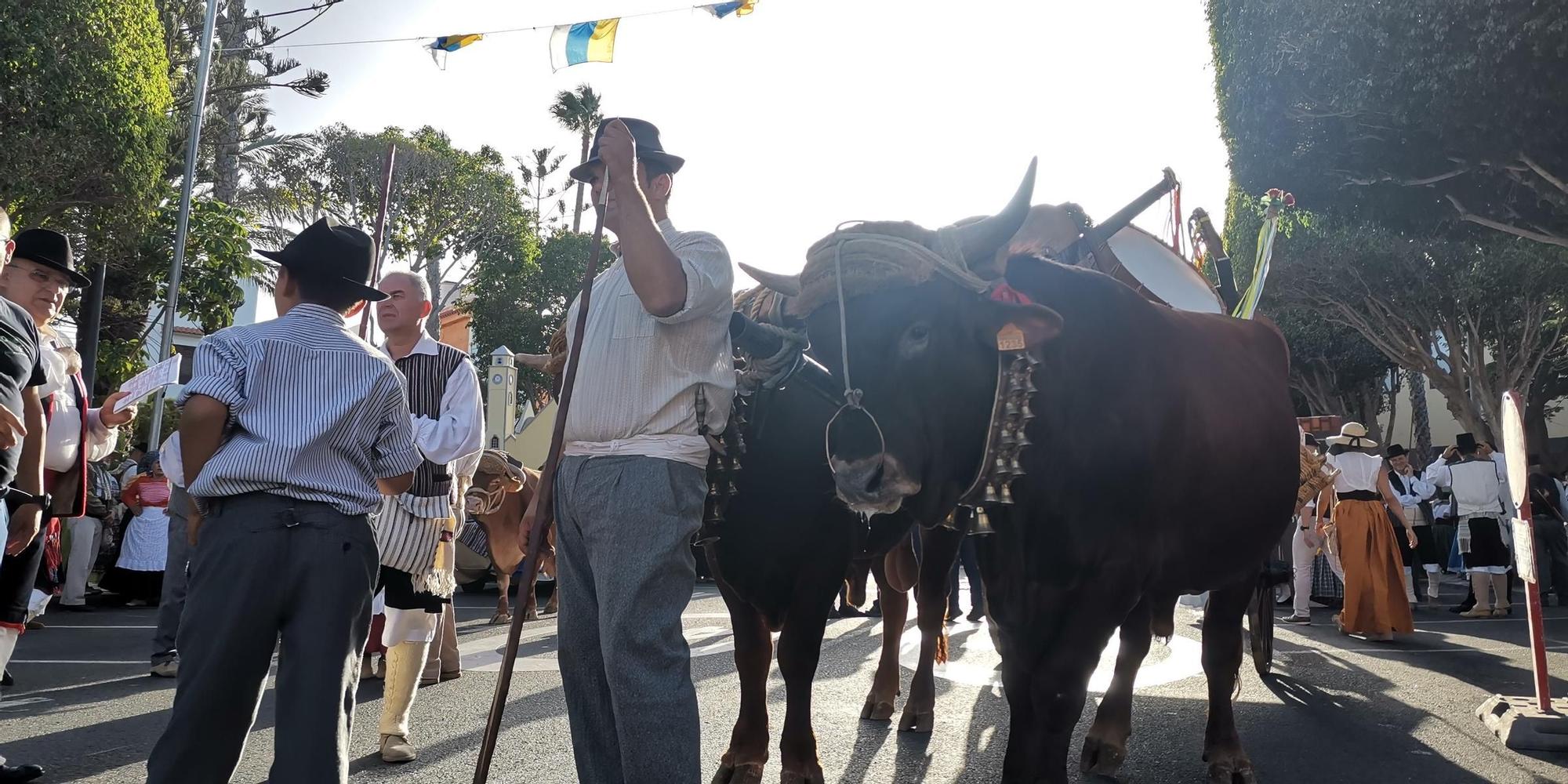Romería del Rosario de Agüimes 2025