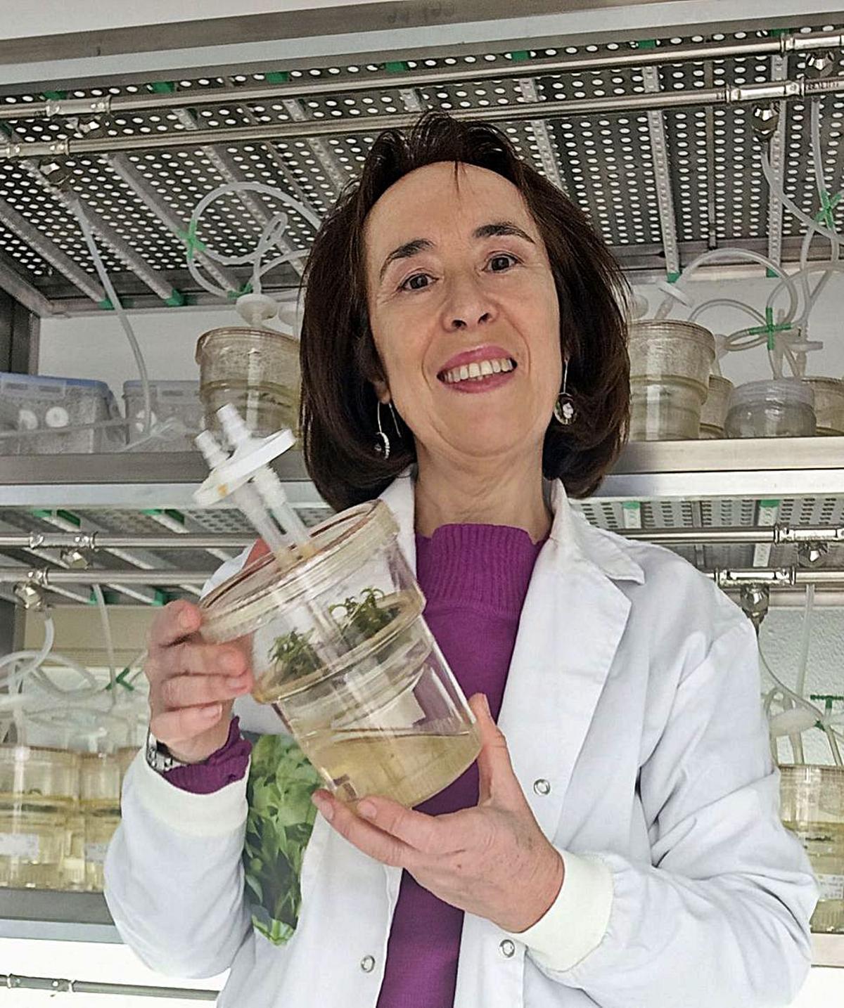Alba Aguión Torrío, en el laboratorio de la UVigo.  | // CEDIDA