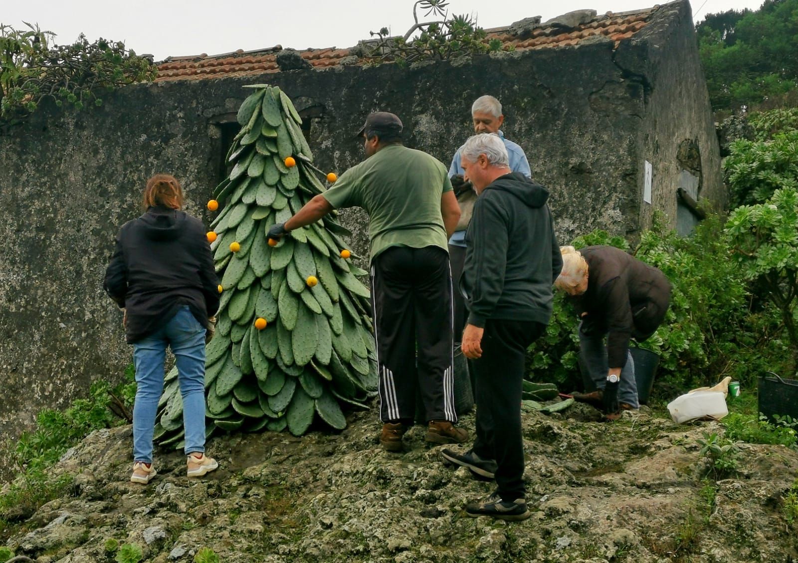 Así se crea el árbol de Navidad de Tiñor, uno de los más originales de Canarias