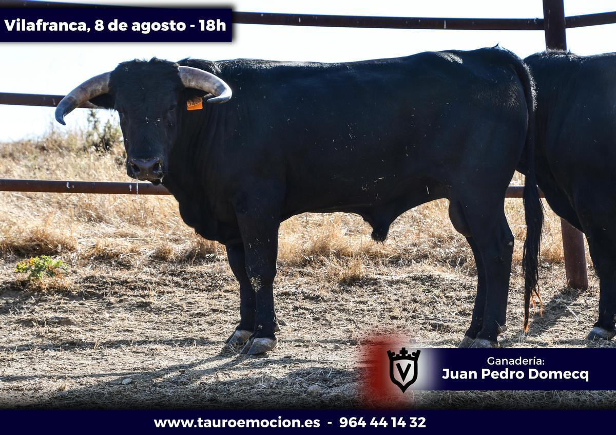 'Tabernero'. Número 54. Negro mulato chorreado.