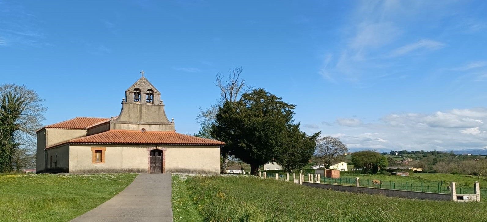 Siglos de historia en el paisaje: así son los tejos más destacados de Llanera