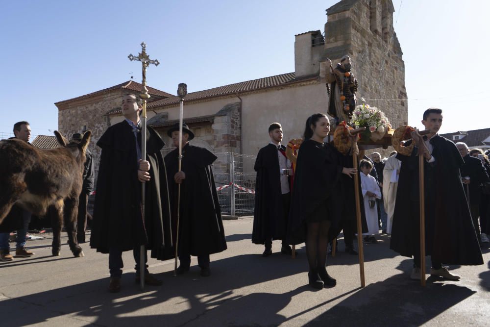 Monfarracinos celebra San Antón con las tradicionales "relaciones"