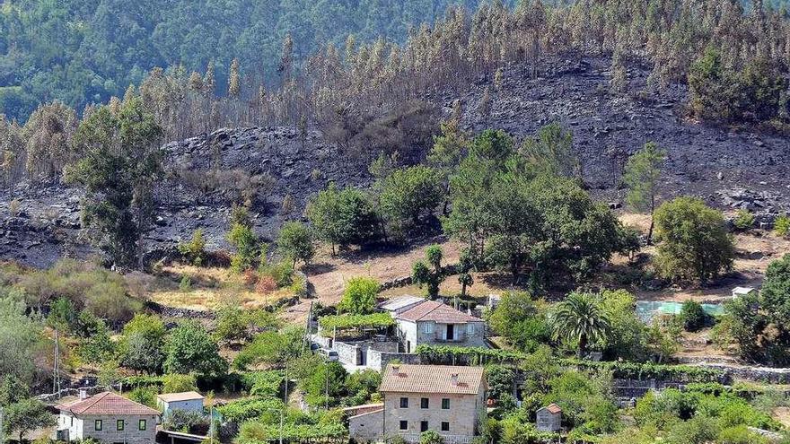 Un monte de eucalipto devastado por un incendio en torno a un núcleo de población. // Rafa Vázquez