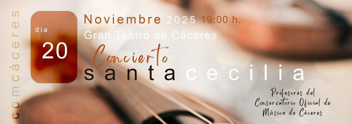 Cartel oficial del concierto.