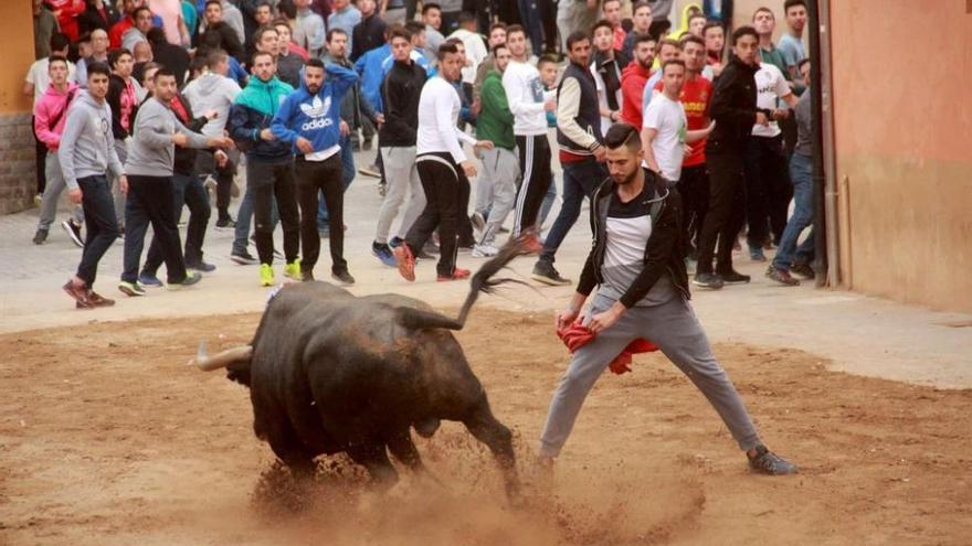 Una deuda de Les Penyes deja a la Vall sin toros de Adolfo Martín