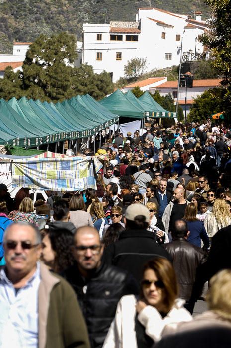 FIESTAS DEL ALMENDRO EN FLOR TEJEDA