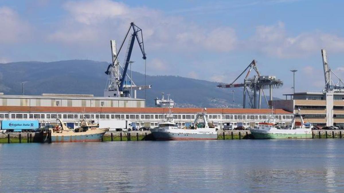 Arrastreros amarrados en el puerto de Marín.