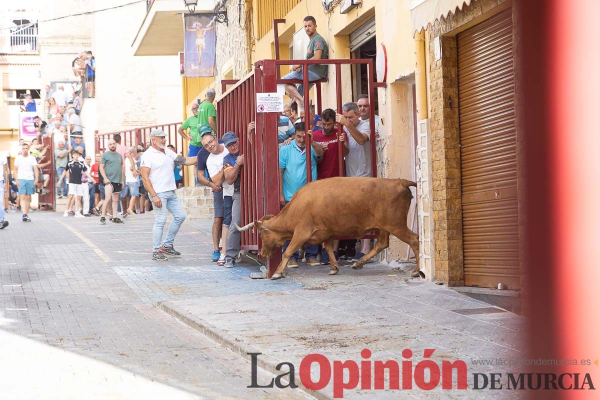 Séptimo encierro de las Fiestas de Moratalla