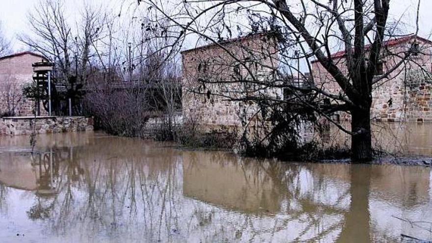 El nivel del agua casi alcanza el puente de los molinos de Olivares.